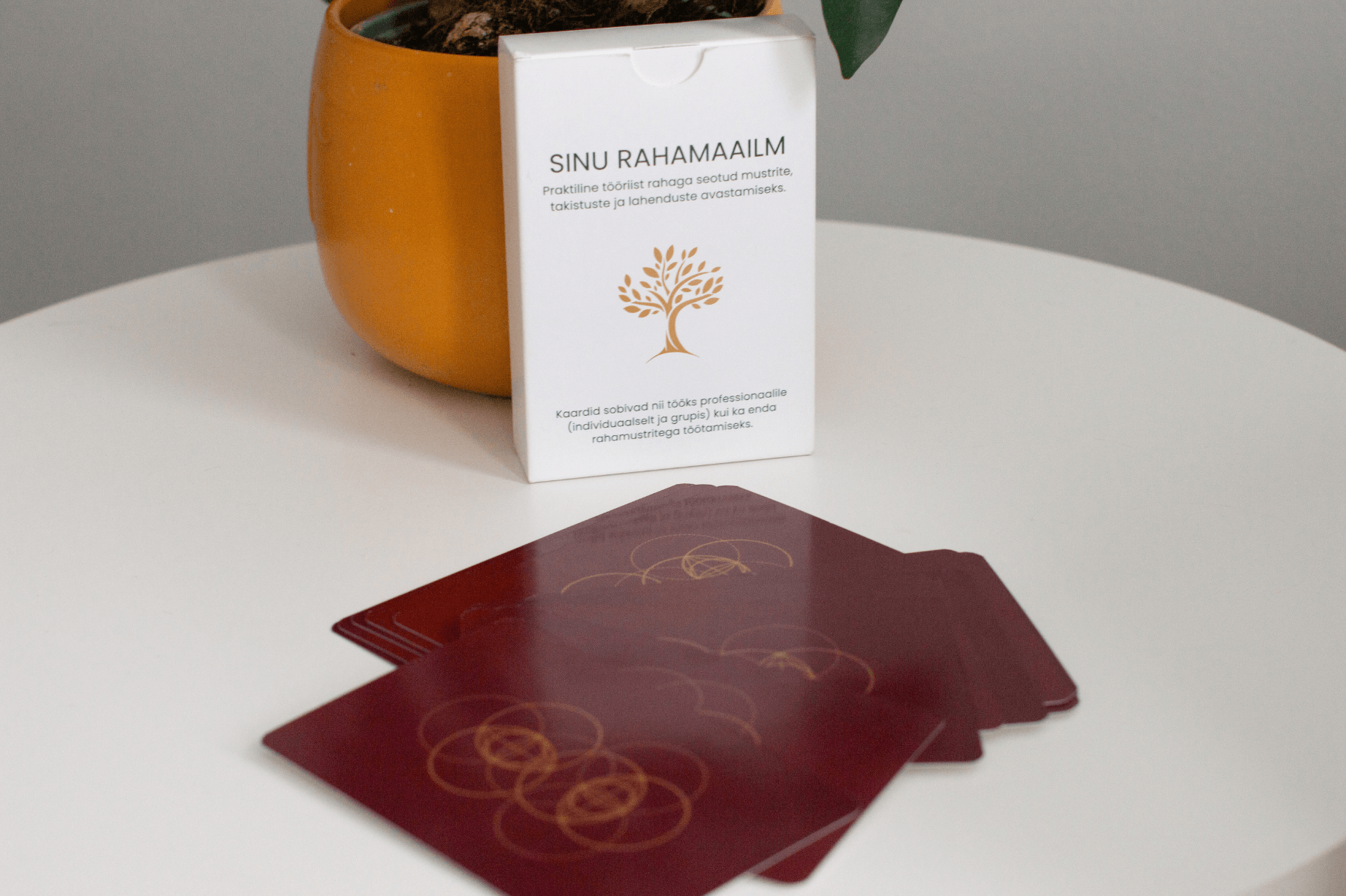 Sinu Rahamaailm kaardid. Autor Riine Aidberg, kujundus Disain iis